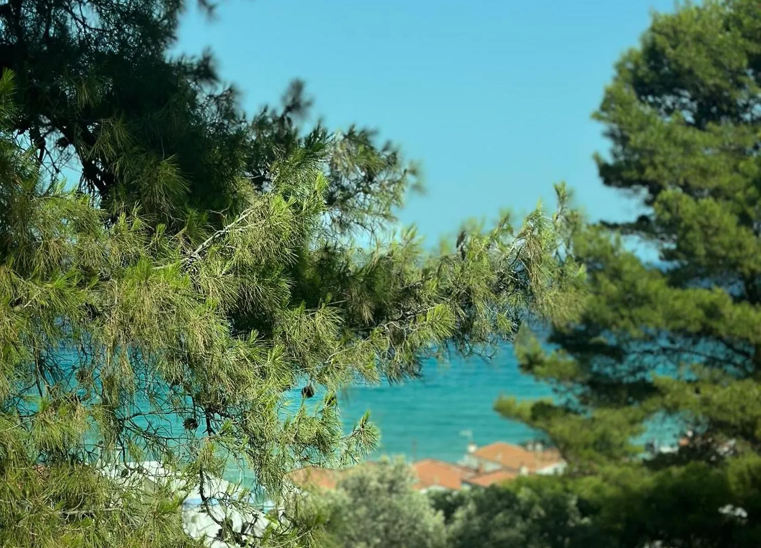 Victory Vip Apartments Kallithea   Kallithea (Chalkidiki)